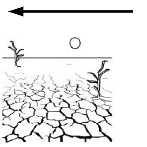 Arasaac 150-61068b51cce05ad8e7abafcd6e333e2d