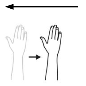 Arasaac 150-cf2c69b0db5df6d377decb8c102032d6