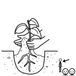 Arasaac 150-11a47de327baaad20364062defd72ed0