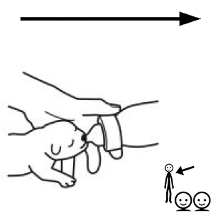 Arasaac 150-b6defeab1ab18d85574a8f3dda8ab69c