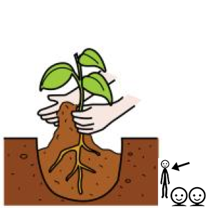 Arasaac 150-11a47de327baaad20364062defd72ed0