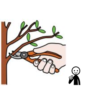 Arasaac 150-1ff983aa591d17e8c724f3cf67df5106