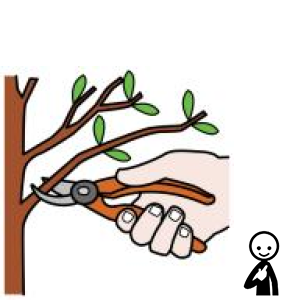 Arasaac 150-2a9486884a412d3a42e99f6ac59bcea