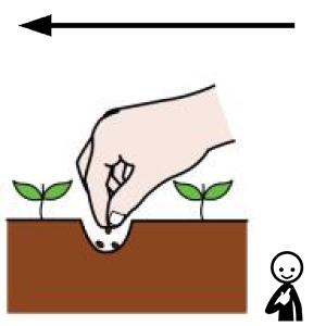 Arasaac 150-2d833d0e9fef54351cdfa139791cecb3