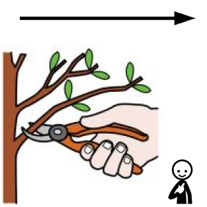 Arasaac 150-2e3ae518051f196cb3b2aa28078fedf3