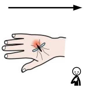 Arasaac 150-32d2fe9ecd7a6214f6524743bb6af84c