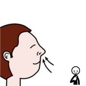 Arasaac 150-340c28e63a16651c7de44cc8501e4417