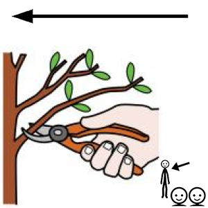 Arasaac 150-3441034d08e502d11d300b27d4e3d286