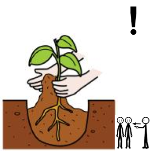 Arasaac 150-4084242eb9b3d49e9692e83653c9345c