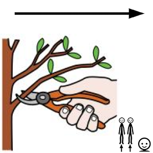 Arasaac 150-43e49d059f48fcbd7a44866b8523e8b4