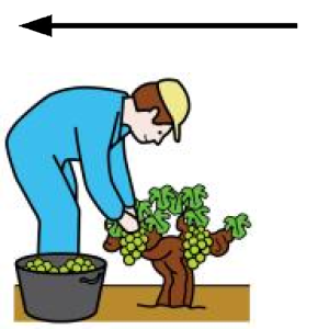 Arasaac 150-52a65098aa8950c894d2df304595a2a5