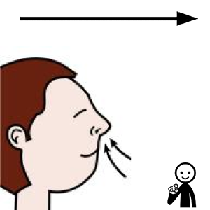 Arasaac 150-5ce2cdb411e6d0d822ff1eaf9246b28c