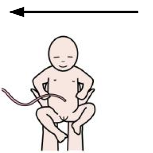 Arasaac 150-5d32d9cac4b44ecc00220ae45d9e2755