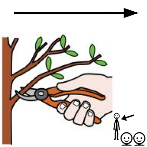 Arasaac 150-5f7624078e39a8e6990ed25523e9745