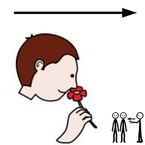 Arasaac 150-61f72e6e9274e33f67e1a43ade8dcec4