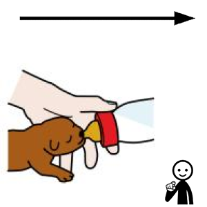 Arasaac 150-69853ef020216288c6c2ed4f051b8ecb