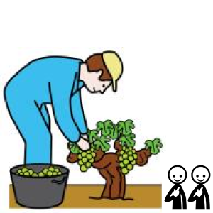 Arasaac 150-75ee01fbe2c94f0859d50f735cd28608