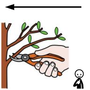 Arasaac 150-762def56127042759a0995ff33aa4c70