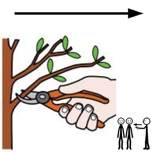 Arasaac 150-7c03d9f8e964f86d6fa5740bcd0bb18