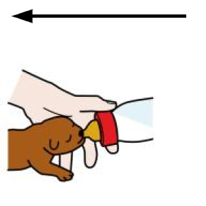 Arasaac 150-82b41d4e9c81ab2f668e5622a62440b5