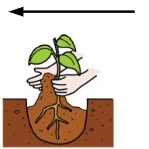 Arasaac 150-8927eb04bf92ea3fbac87679f97333f1