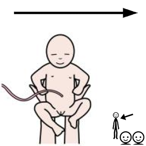 Arasaac 150-9199fa4f2c553c3c47a57b8cb34be9f