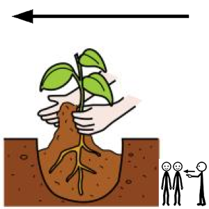 Arasaac 150-96194bbac810ff8b193961e38c0207b9