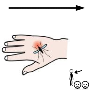 Arasaac 150-a210b0230b3d6f4fecea1c63b7de56a2