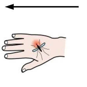 Arasaac 150-a3e8d31ed77fd8deebd2f99393981579