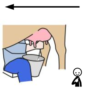 Arasaac 150-a964ed75f9b57cc83ab444a98624dce9