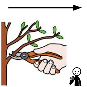 Arasaac 150-acbb9bd0b02151911bb80ca85fe991ab