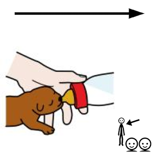 Arasaac 150-b6defeab1ab18d85574a8f3dda8ab69c