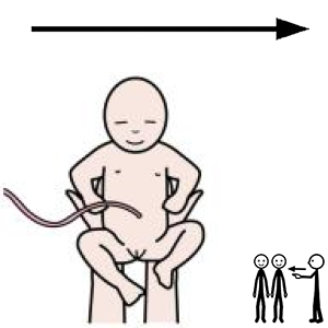 Arasaac 150-b9f826a963c35a317f808f96527441bd