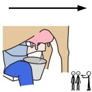 Arasaac 150-ca8df5702378e70b5aacbeed31abada0