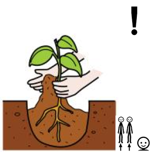 Arasaac 150-d2551958c1ebe651448afd2e5c21eedd