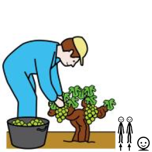 Arasaac 150-d4606ee0ac13c47cdac8f7da1a3eb233