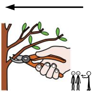 Arasaac 150-d81ed7d70acd98bed363237ee595fbad