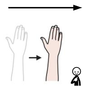 Arasaac 150-db9d6a3cc397b524350f35628cfe6a7b