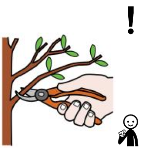 Arasaac 150-e98aad6d57fc62fd5ba33a3099f3c9a