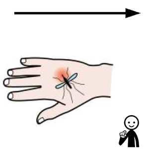 Arasaac 150-eb6122bc2e849454e1c3eb25111289d6