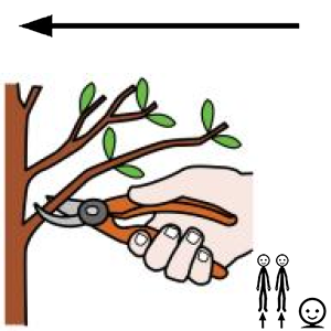 Arasaac 150-eeeac451117b96a16d943196b03faacf