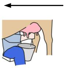 Arasaac 150-f9179c1ead94e4f962478da83fbcbeb8